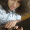 Brachypelma Smithi
